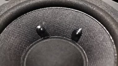 Audio woofer